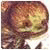 RogelioTic