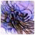 Eugenenoxia