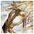 ArthurApace