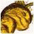 AlbertCoiff