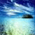 HaroldHulty