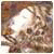 Annaor