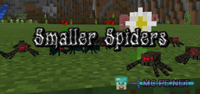 Smaller Spiders