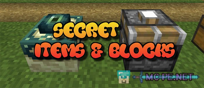 Secret Items & Blocks