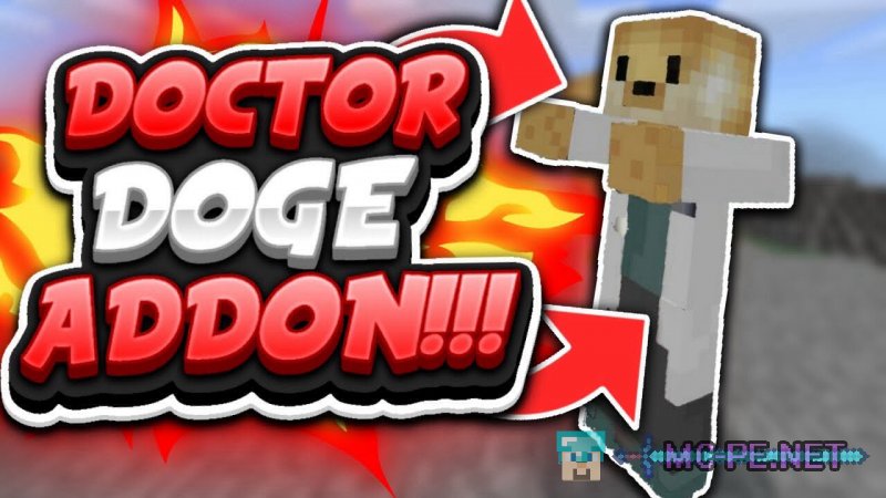 Doctor Doge