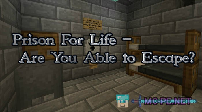 Prison For Life – Are You Able to Escape?